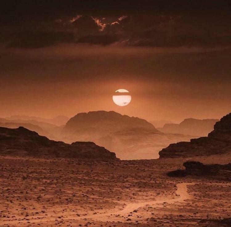 Wadi Rum Local Camp Extérieur photo